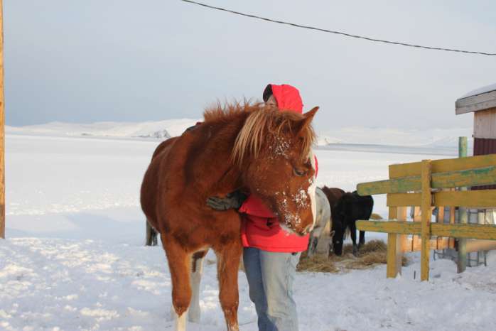Конные туры отдых на Байкале